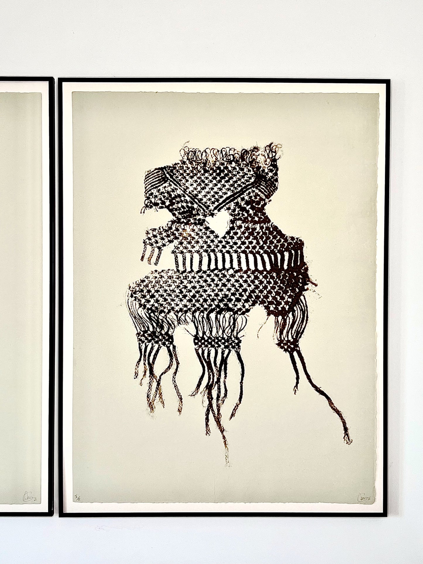 Rompu jute