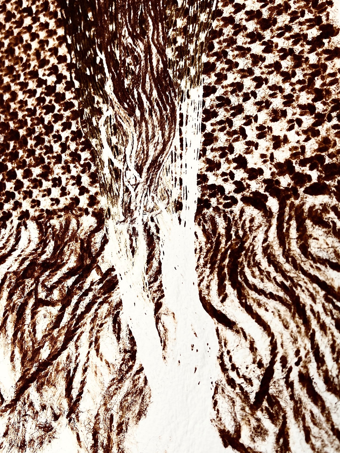 Superposition coton