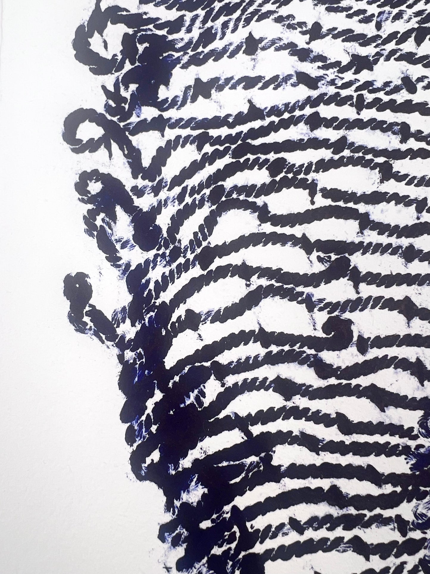 Torsion cordelette coton